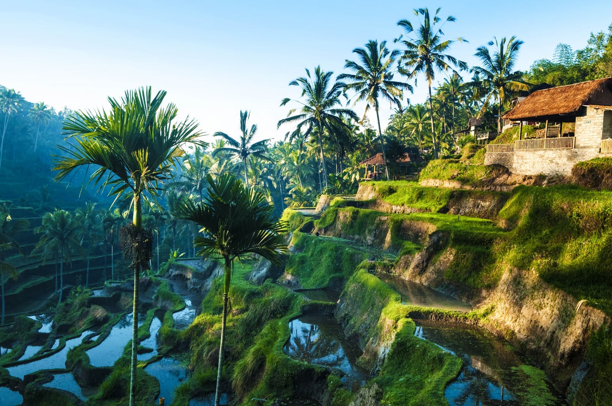 Ubud